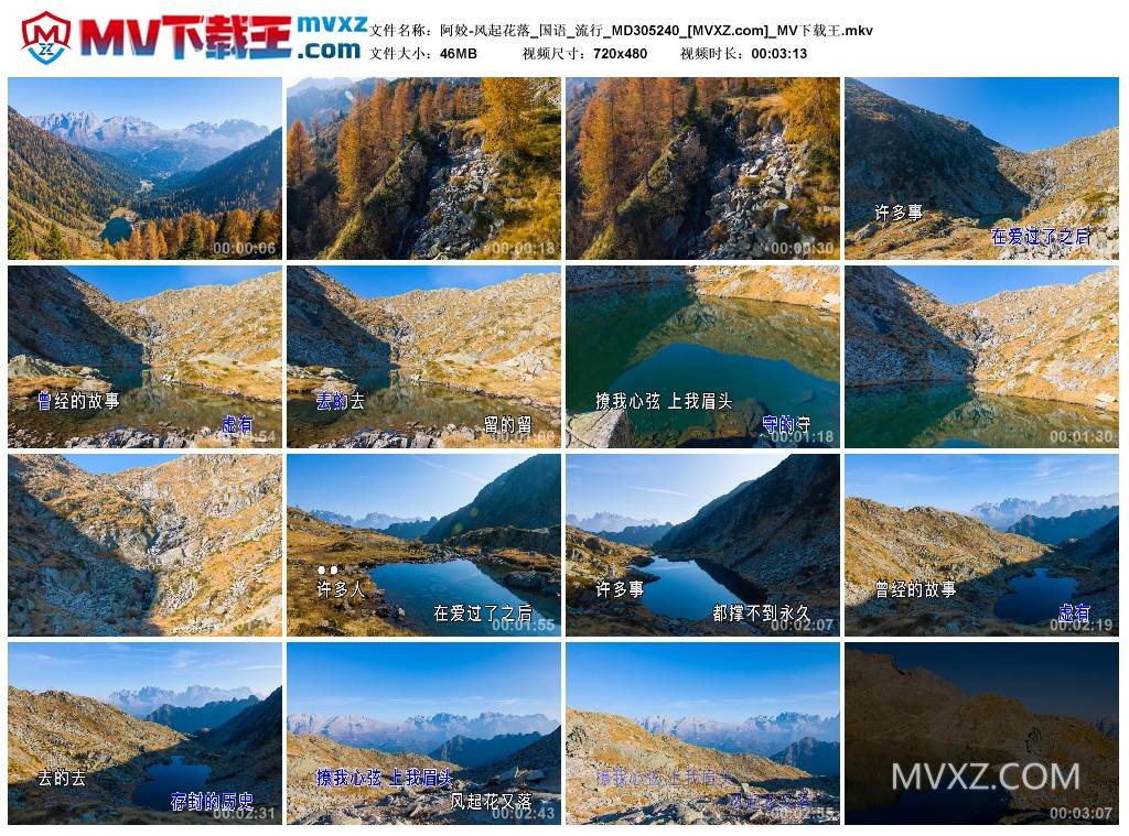 阿姣-风起花落_国语_流行_MD305240